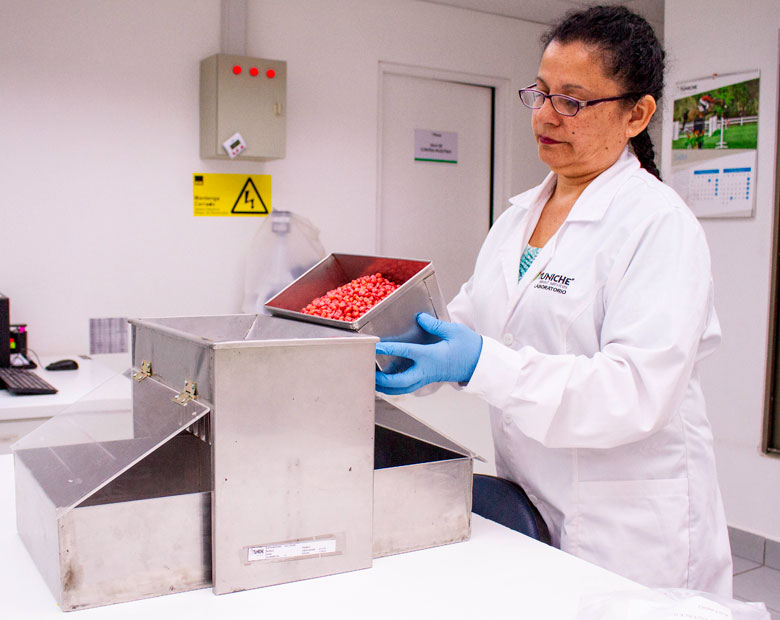 Laboratorio de Semillas Tuniche